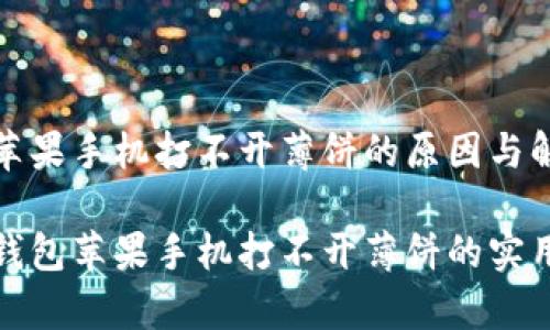 tp钱包苹果手机打不开薄饼的原因与解决方法

解决tp钱包苹果手机打不开薄饼的实用指南