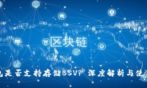 TP钱包是否支持存储BSV? 深度解析与使用指南