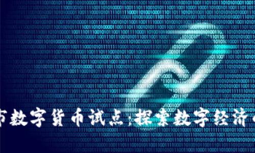 杭州市数字货币试点：探索数字经济的未来