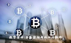 数字货币：未来金融的风口与挑战