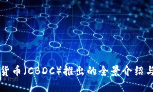 央行数字货币（CBDC）推出的全景介绍与未来展望