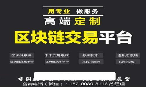 中国数字货币试点成就与未来展望