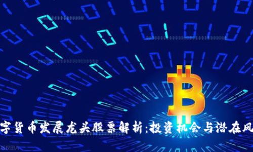 数字货币发展龙头股票解析：投资机会与潜在风险