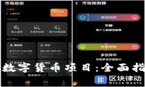 如何申请国家数字货币项目：全面指南与实用技巧