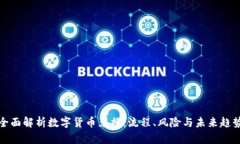 全面解析数字货币兑换：流程、风险与未来趋势