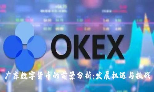 广东数字货币的前景分析：发展机遇与挑战