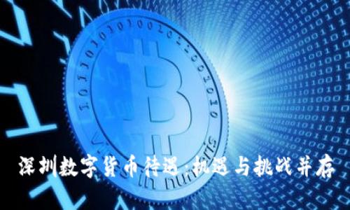 深圳数字货币待遇：机遇与挑战并存