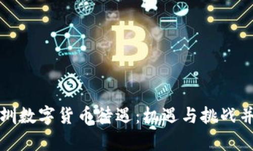 深圳数字货币待遇：机遇与挑战并存