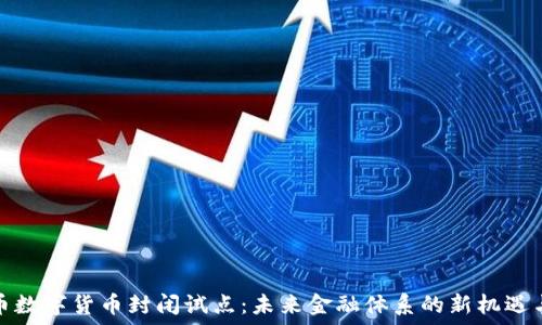   
人民币数字货币封闭试点：未来金融体系的新机遇与挑战