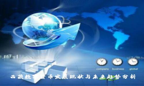 西藏数字货币发展现状与未来趋势分析