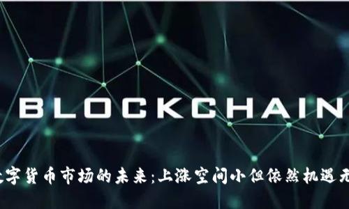  数字货币市场的未来：上涨空间小但依然机遇无限